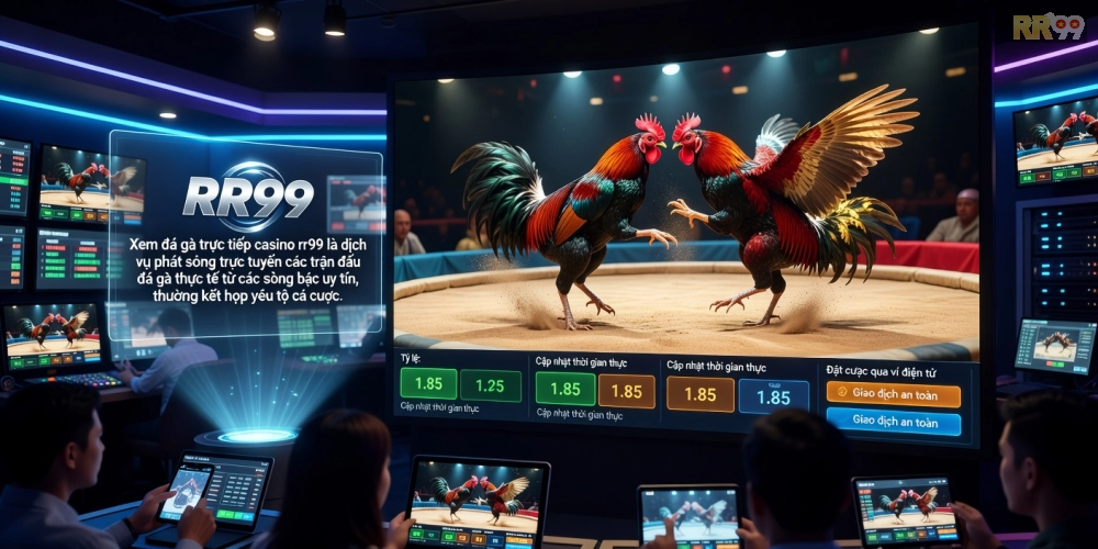 Minh họa giao diện xem đá gà trực tiếp casino rr99 với hình ảnh sắc nét và giao diện thân thiện